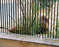 Exkursion 2AL Wien-03