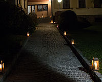 ImWaldundaufderHeide-35